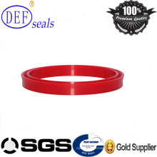 High Pressure Buffer Piston Seals for Holes